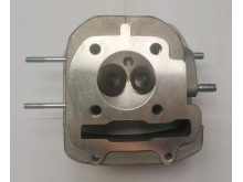 Hlava válce 1P52QMI-A /komplet s ventily a pružinami/Mustang/