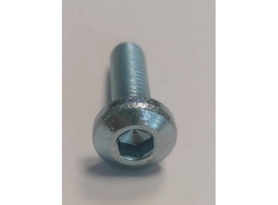 Šrouby pro uchycení predního br.kotouce 8*24/str/ New Maximus