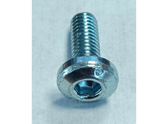 Šrouby M8×25mm Zajištení brzdového kotouce Torino ZZ