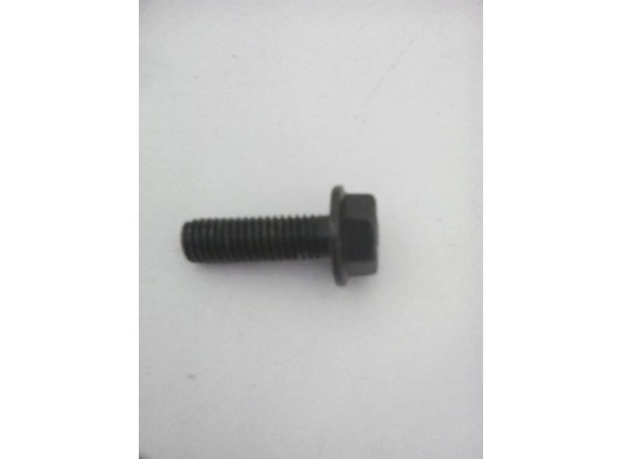 Šrouby pro zadní b.disk M8×25mm Diablo