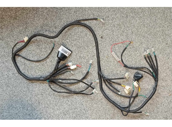 Hlavní svazek elektroinstalace New Maximus