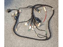 Hlavní svazek elektroinstalace Trento