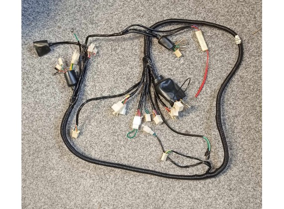 Hlavní svazek elektroinstalace Trento